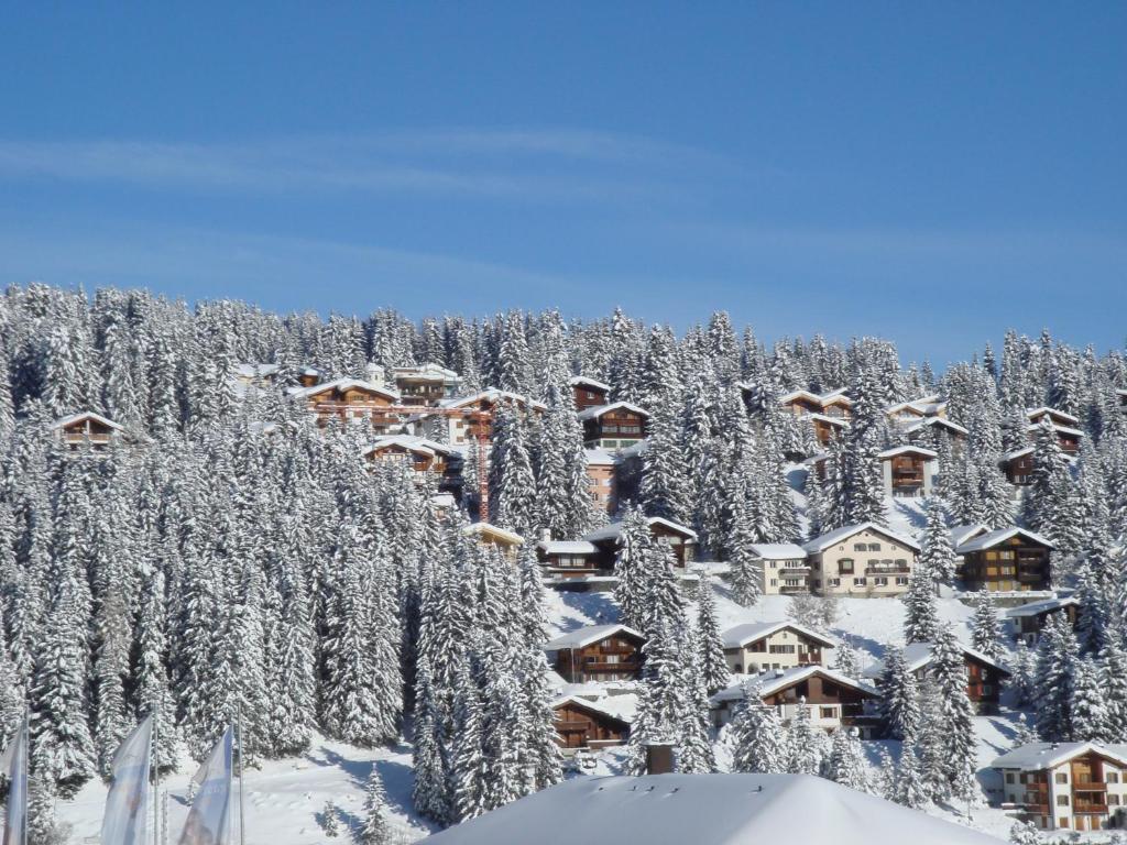 Arosa Vetter Hotel Екстер'єр фото